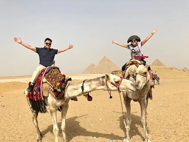 Camels, Pyramids, Egypt
